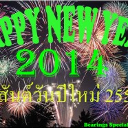 Happy New Year 2014